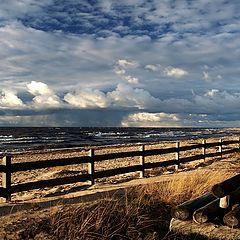 photo "Sea walking"