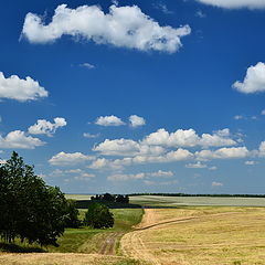 фото "июль"