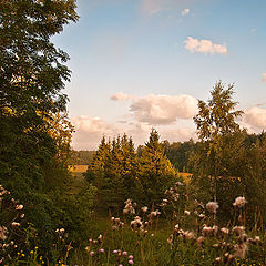 фото "Утро."