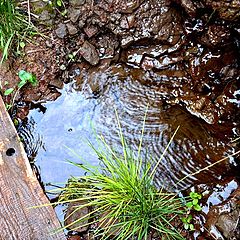 фото "Рождение воды"