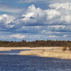 photo "under blue skies"