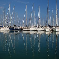 photo "sailboats"