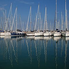 фото "sailboats"