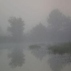 фото "В утрених туманах"
