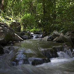 photo "***"