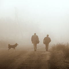 photo "Foggy perspectives ..."