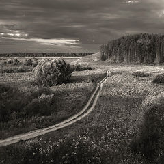 photo "***"