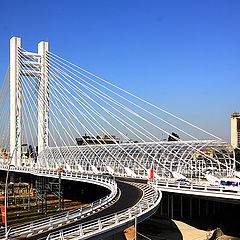 photo "New bridge"