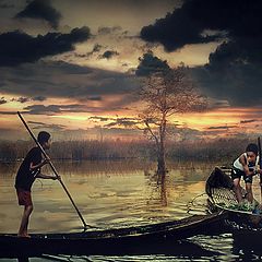 photo "..swamp boy.."