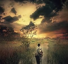photo "..lonely road.."