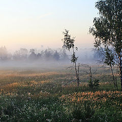 фото "Утро в Юности"