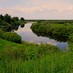 фото "Летний денёк"