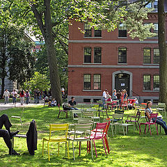 photo "Studying in Harvard"