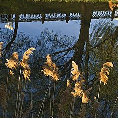 фото "Городские ...(...отражения)"