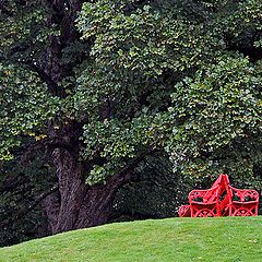 photo "After a rain."