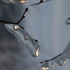 фото "Ice Forms"