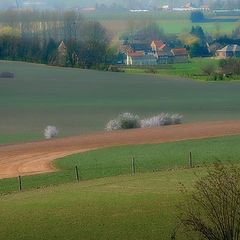 photo "green grass of home"