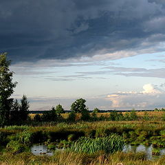 фото "Перед ненастьем"