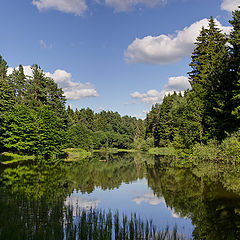 photo "Forest Lake"