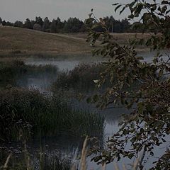 фото "При полном отсутствии света."