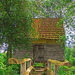 photo "the bridge"