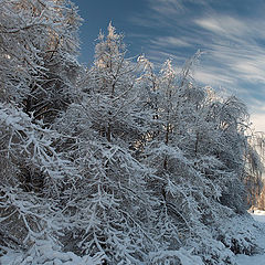 photo "Ice Forms"