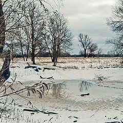 фото "оттепель"