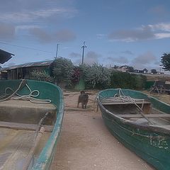 фото "Лодки и пёс."