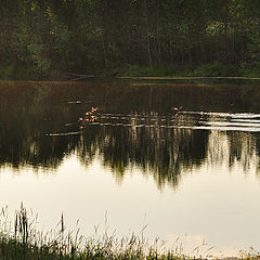 фото "Раннее утро"