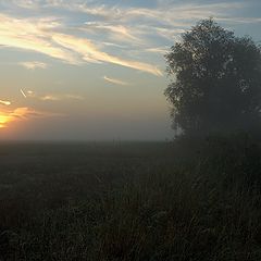 photo "The morning mist"