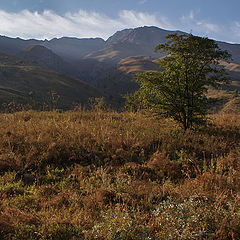 фото "Вечереет"