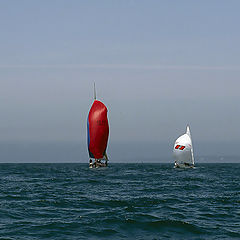 photo "SAILS"