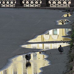 фото "без названия"