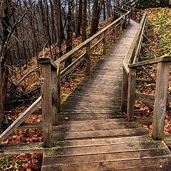 photo "Stairway to Autumn"