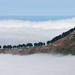 фото "Выходи по одному"