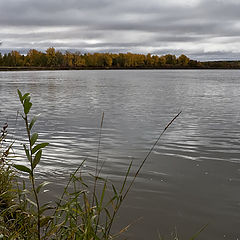 photo "the river, autumn, melancholy..."