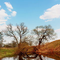 фото "Зеркальце"