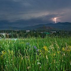 фото "Перед дождём"