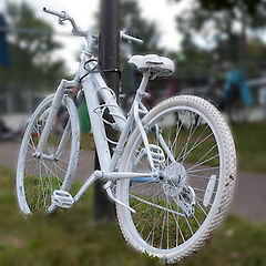 фото "White Bicycle"