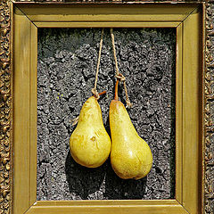 photo "Pears"