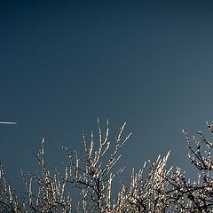 фото "хрустальный день"