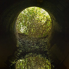 photo "Reflection in a Storm Pipe"