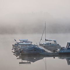 photo "Foggy Morning"