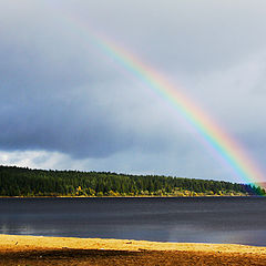 фото "Rainbow"