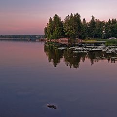 фото "На закате"