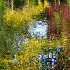 photo "Reflection in autumn"