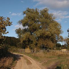 фото "Вечерняя дорога ."