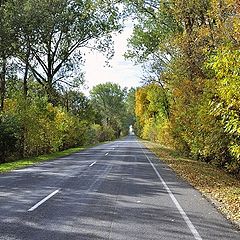 фото "А дорога серою лентою..."