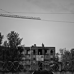 photo "***"