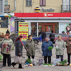 фото "будни культурной столицы"